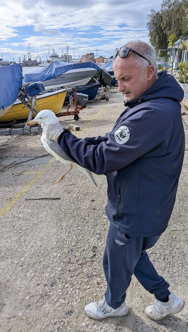Gianni De Vincentiis, presidente del WWF Taranto